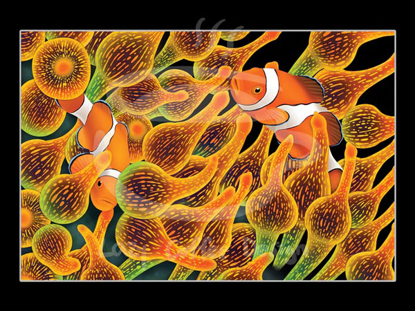 【正規輸入品】MINI Lazy reef Sweet Home Fine Art Print