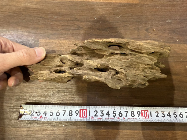 スタッフセレクト流木 Cave wood ケイブウッド No.4