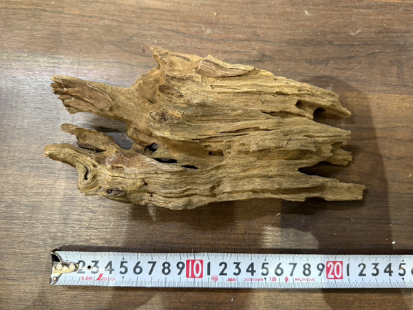 スタッフセレクト流木 Cave wood ケイブウッド No.7
