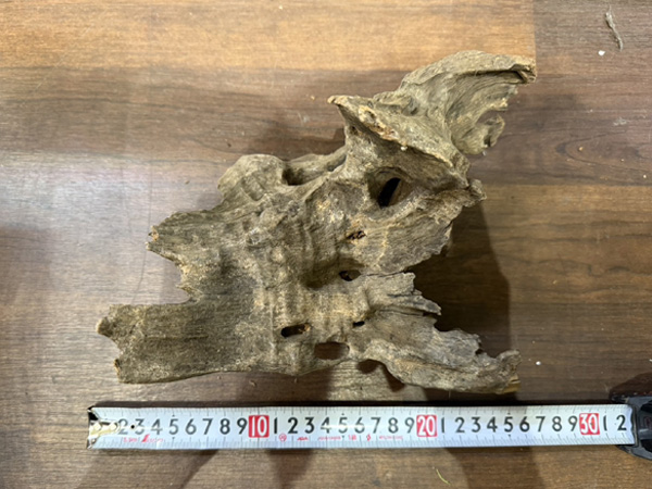 スタッフセレクト流木 Cave wood ケイブウッド No.9