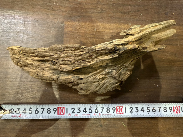 スタッフセレクト流木 Cave wood ケイブウッド No.10