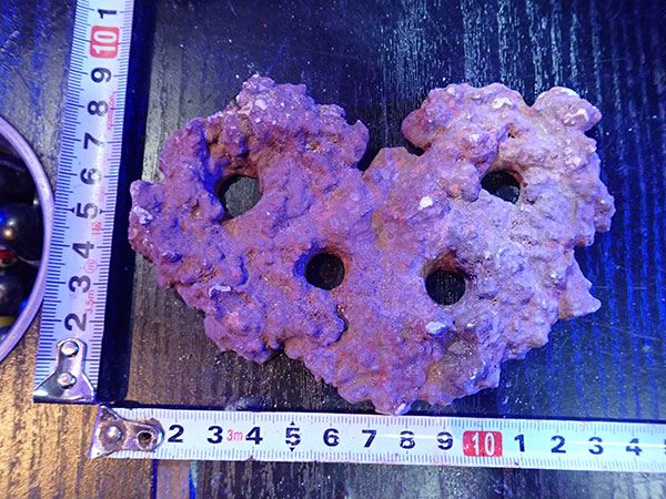 Frag専用プレート JS Frag Rock No.07