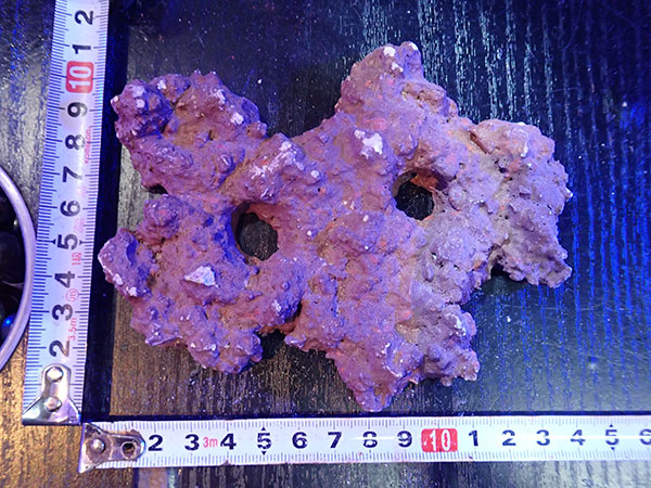 Frag専用プレート JS Frag Rock No.11