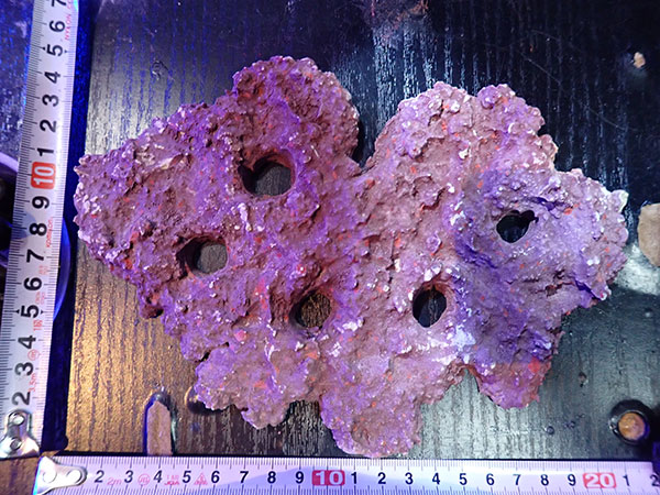 Frag専用プレート JS Frag Rock No.15