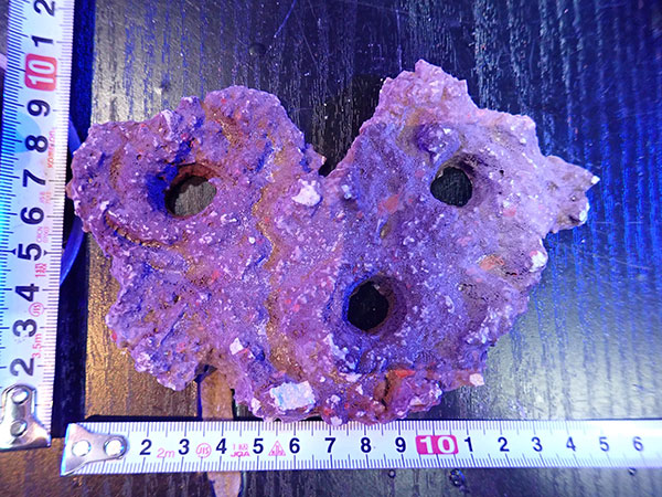 Frag専用プレート JS Frag Rock No.18