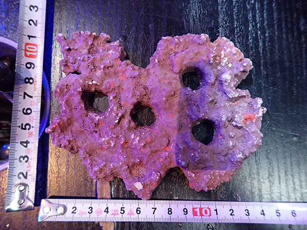 Frag専用プレート JS Frag Rock No.19