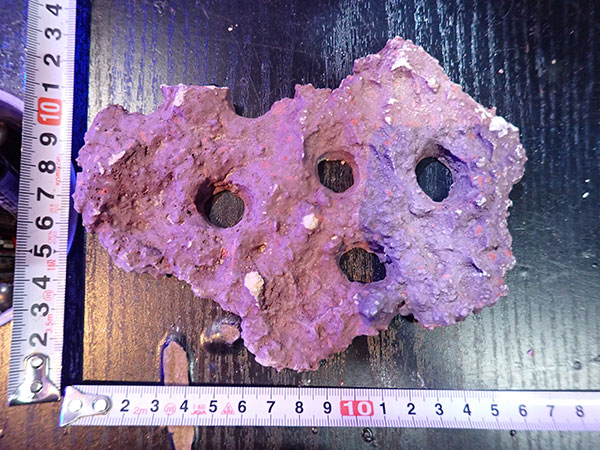 Frag専用プレート JS Frag Rock No.22