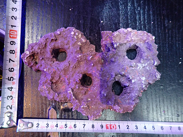 Frag専用プレート JS Frag Rock No.25