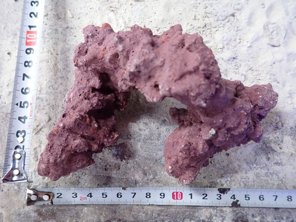 JS Rock No.32