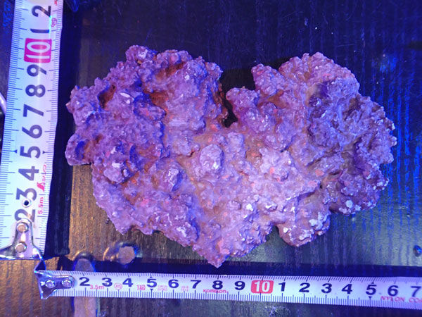 JS Rock Table Type No.23