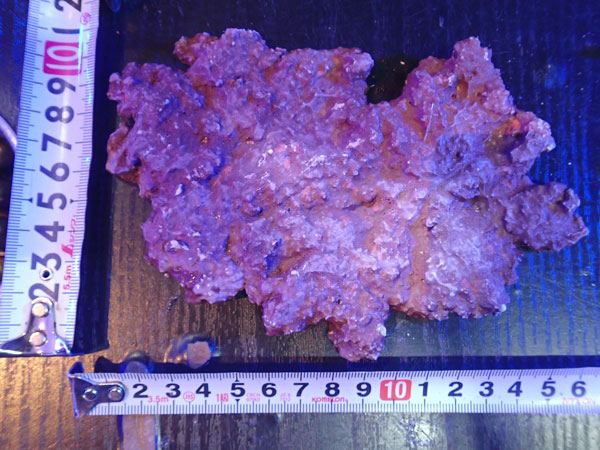 JS Rock Table Type No.29