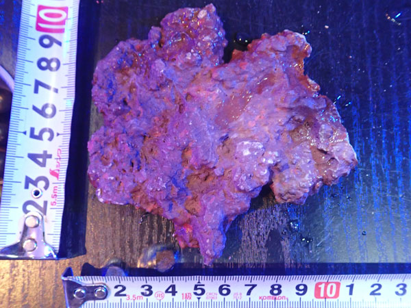 JS Rock Table Type No.31