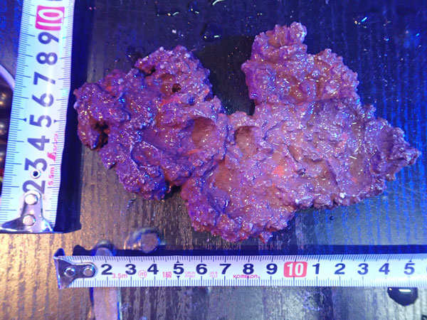 JS Rock Table Type No.33