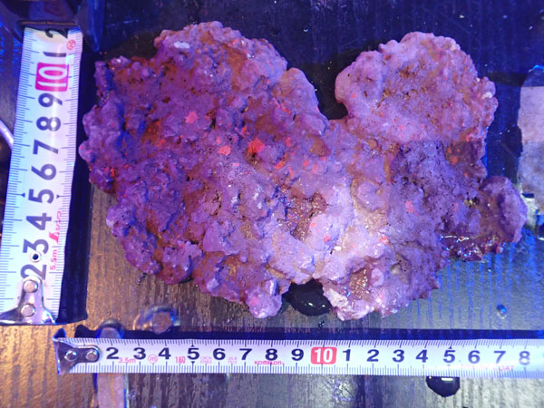 JS Rock Table Type No.36