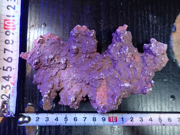 JS Rock Table Type No.42