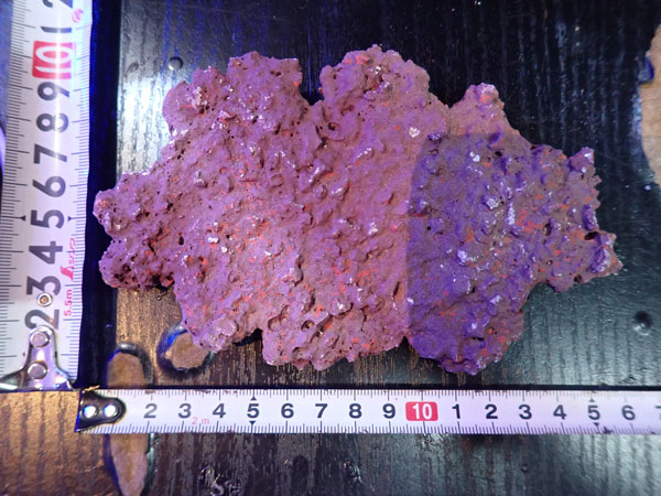 JS Rock Table Type No.46