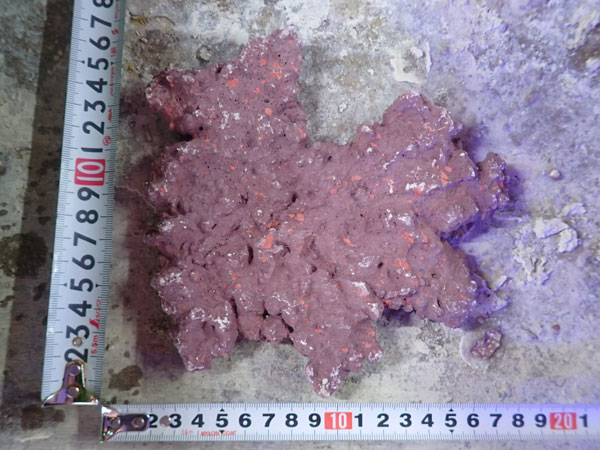 JS Rock Table Type No.51