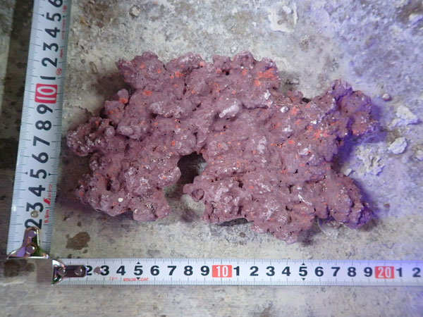 JS Rock Table Type No.58
