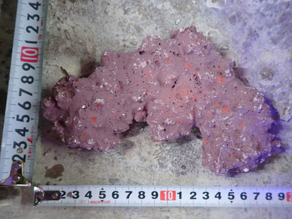 JS Rock Table Type No.59