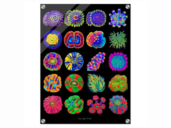 【正規輸入品】Lazy Coral　Acrylic Print24×18　