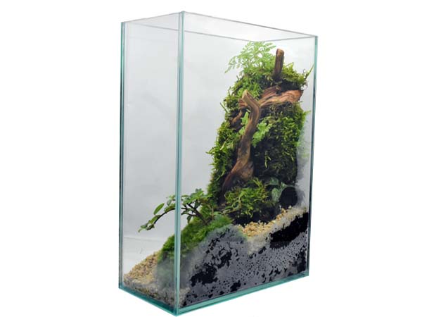 GEX グラステリアフィット 200H アクアテイラーズ オンラインショップ