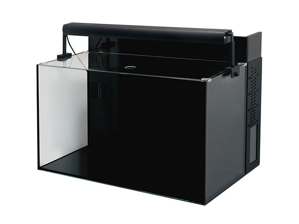 60cm以上 アクアテイラーズ オンラインショップ