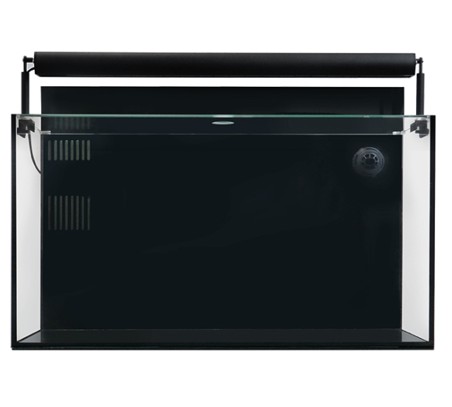 ⭐︎サンセベリア⭐︎バイポーラアクアしジェル 観葉植物 青サンスベリア ゼラニカ 10号 2L 鉢カバー | 移転祝い