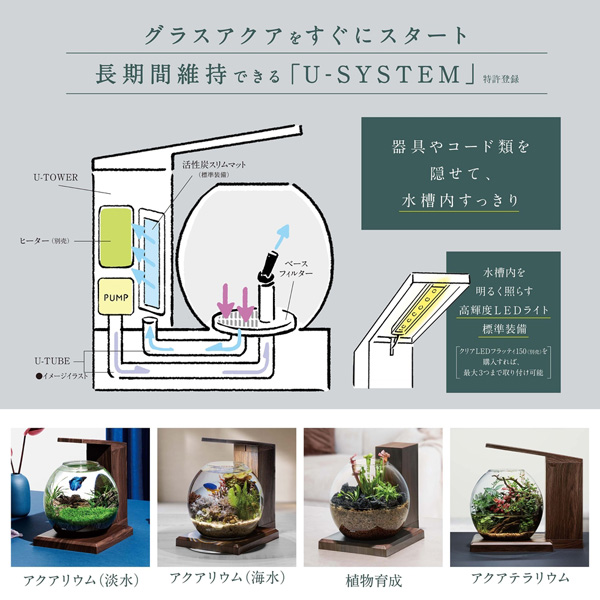 GEX グラステリア ペルコ PERCO B-Dark Wood アクアテイラーズ