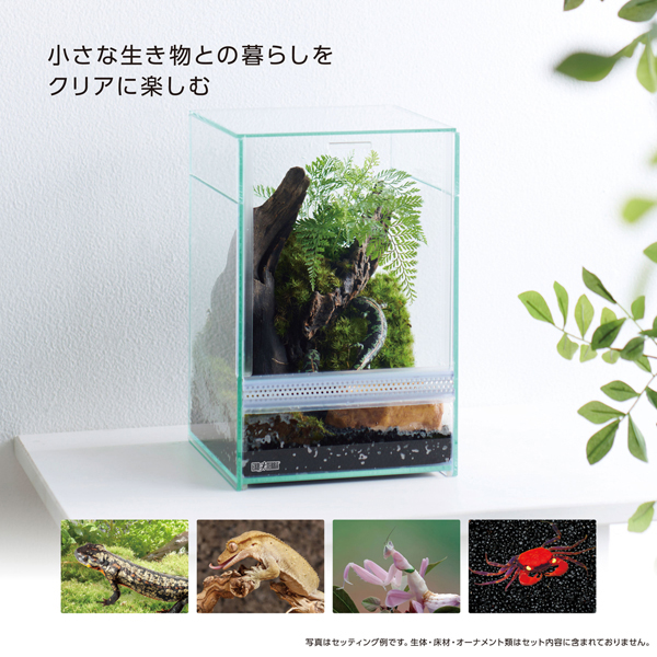 GEX レプテリア クリアネオフィット 180 アクアテイラーズ オンライン