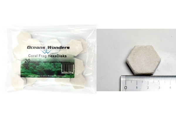 Oceans Wonders Coral frag hexadisks 20pc