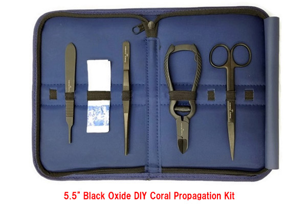 Oceans Wonders 5.5 inch black oxide DIY coral propagation kit