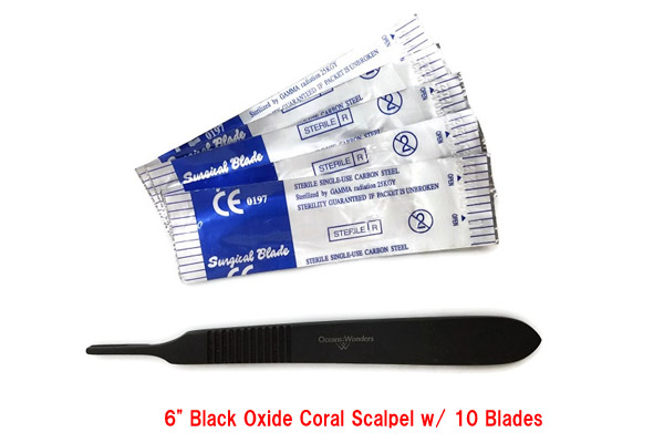 Oceans Wonders 6 inch black oxide coral scalpel w/10 blades