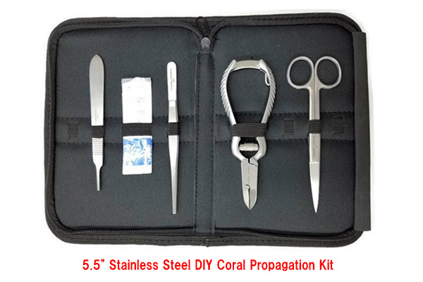 Oceans Wonders 5.5 inch stainless steel DIY coral propagation kit