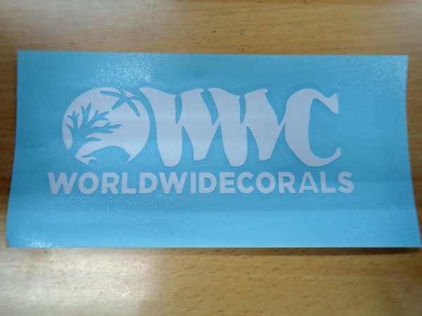 【正規輸入品】WWC Transfer Decal Sticker
