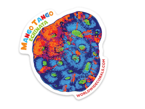 【正規輸入品】WWC Mango Tango Sticker