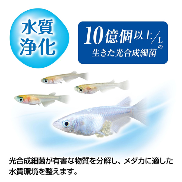 GEX メダカ元気 育てるPSBウォーター 1L アクアテイラーズ オンライン