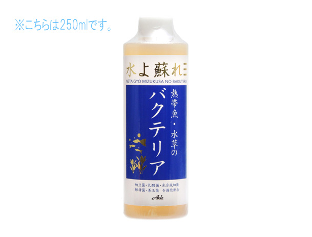 アクシズ 熱帯魚・水草のバクテリア 250ml