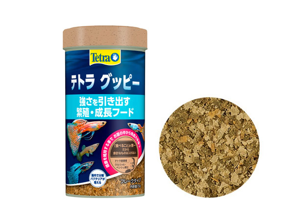 テトラ グッピー 70g(76853)