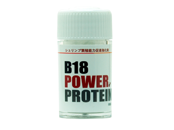 ローキーズ 繁殖能力促進強化剤 B18 POWERPROTEIN ビーイチハチ パワープロテイン 50錠入