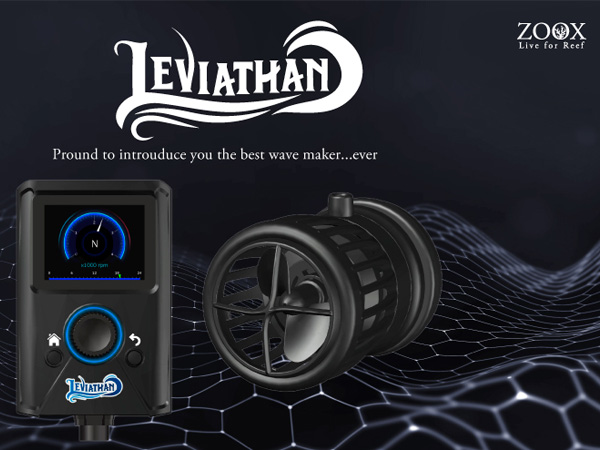 ZOOX リヴァイアサン2500