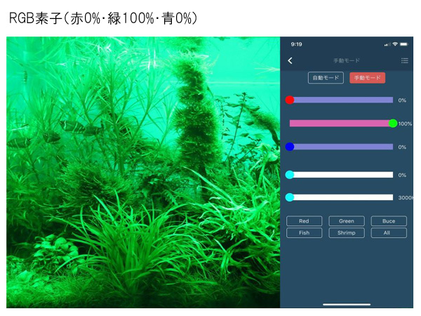 411000237000_4.jpg?t=