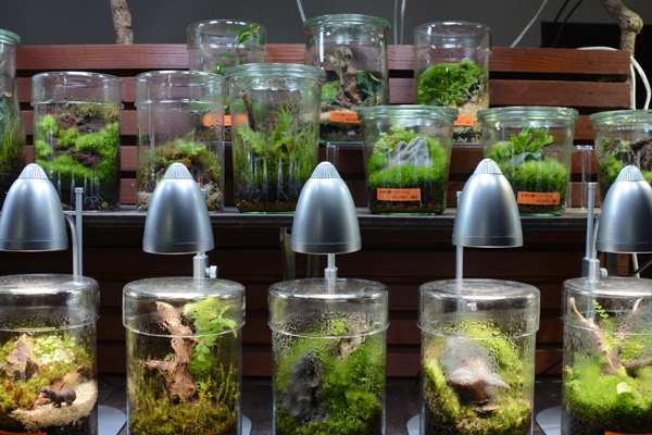 GENTOS 植物のためのそだつライト アクアテイラーズ オンラインショップ