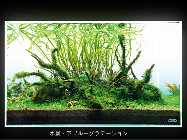 取り寄せ商品・日にち指定不可）ADA 108-140 ライトスクリーン 600