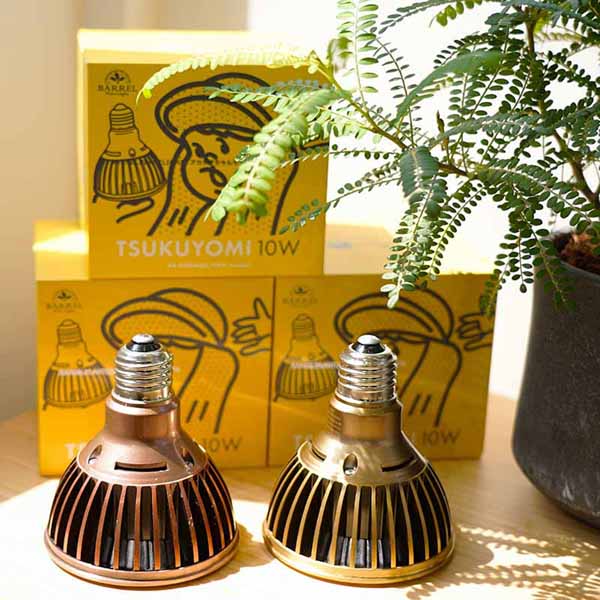 BARREL バレル　ツクヨミ led 10W ゴールド 2個セット TSKUYOMI 10W ゴールド ブロンズ（ツクヨミLED 10W）AKADAMACHAN