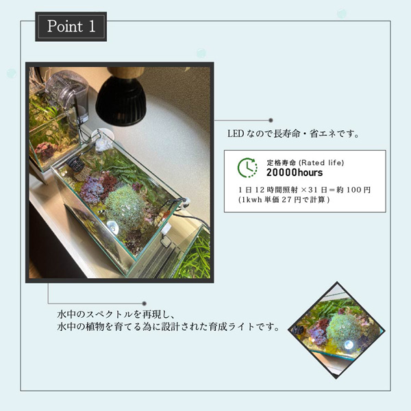 BARREL SUSANOO スサノオ 10w White アクアテイラーズ オンラインショップ