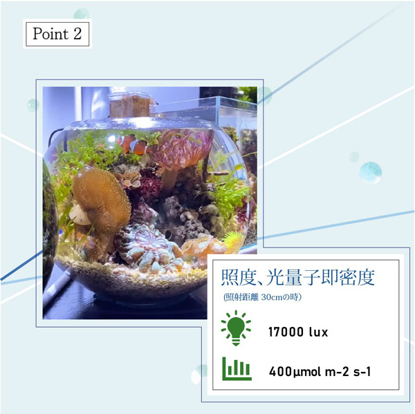 お取り寄せ】BARREL SUSANOO スサノオ 10w White アクアテイラーズ