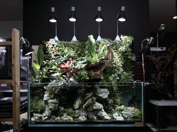 【美品】京セラ CERAPHIC いきもの電球　6500K 23W 水草観葉植物 京セラ CERAPHIC いきもの電球 6500K(昼光色) : アクアテイラーズ