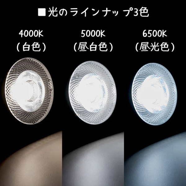 京セラ CERAPHIC いきもの電球 6500K(昼光色) 広角 アクアテイラーズ