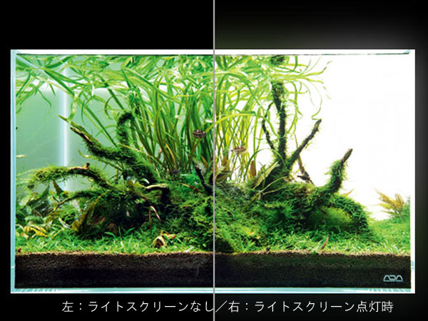 取り寄せ商品・日にち指定不可）ADA 108-204 ライトスクリーン 300