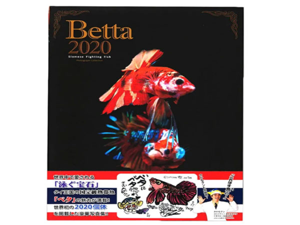 Betta2020　サイアミーズ ファイティングフィッシュ フォトグラフ コレクション